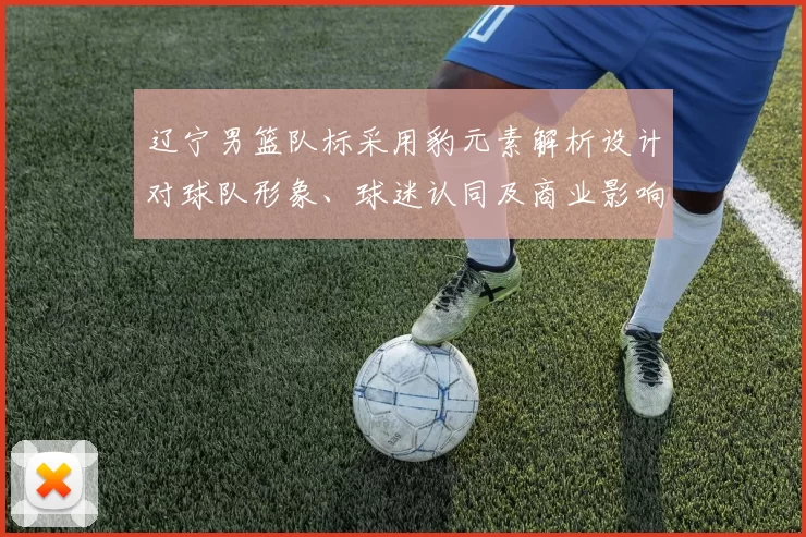 辽宁男篮队标采用豹元素解析设计对球队形象、球迷认同及商业影响