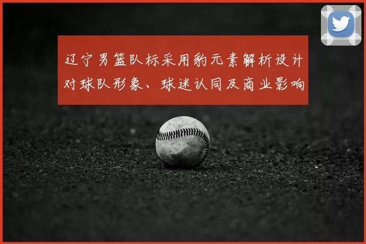 辽宁男篮队标采用豹元素解析设计对球队形象、球迷认同及商业影响